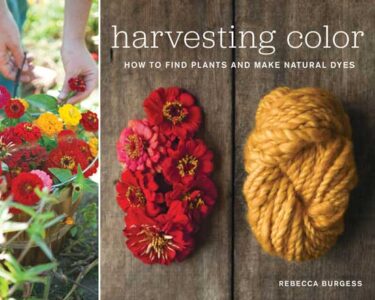 Introduction to Natural Dyes Image